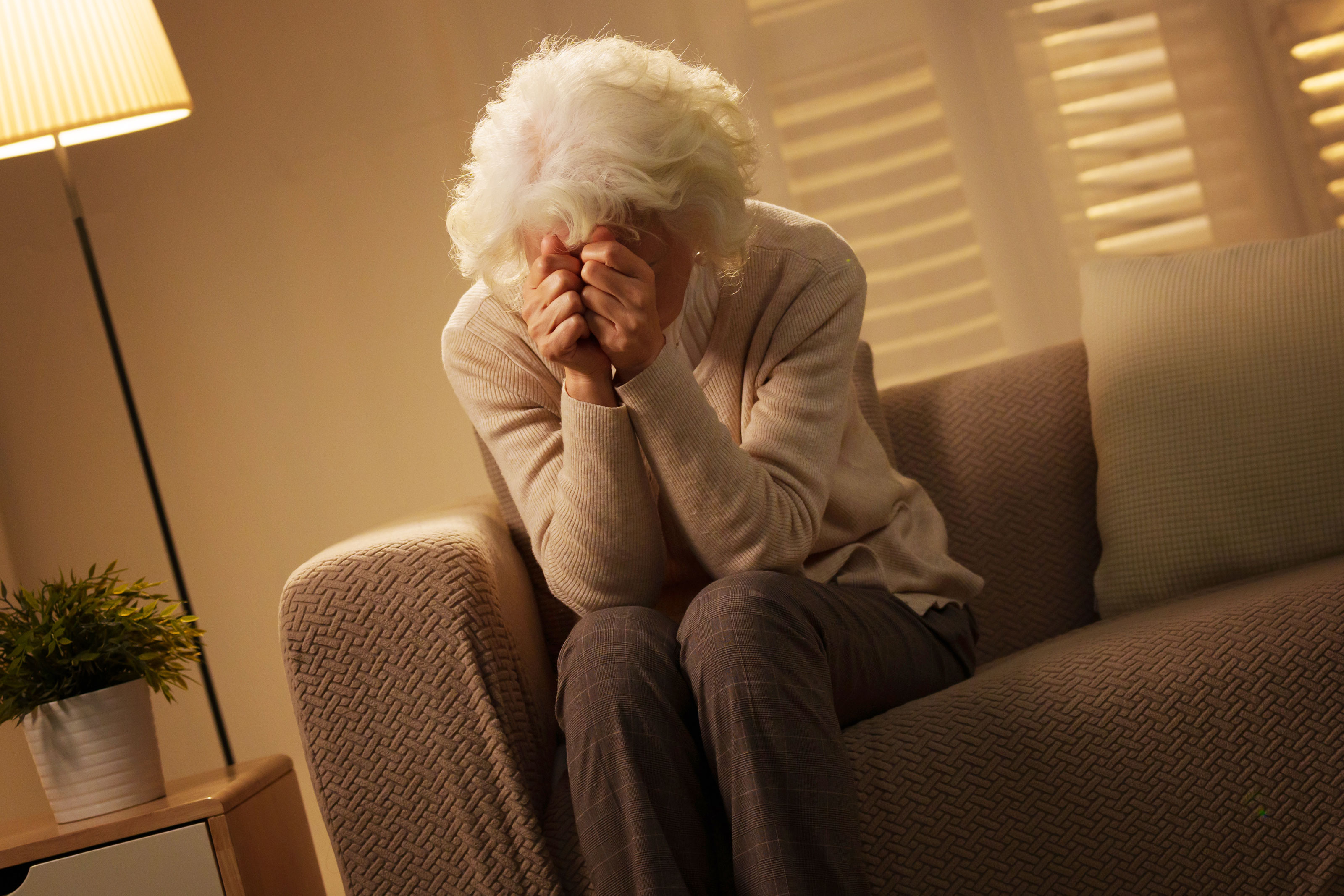 1770079400197784.jpg 333.jpg